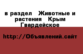  в раздел : Животные и растения . Крым,Гвардейское
